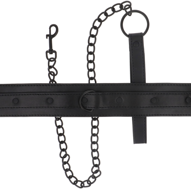 Flat layout of Intense Fetish collar and detachable leash for bondage play