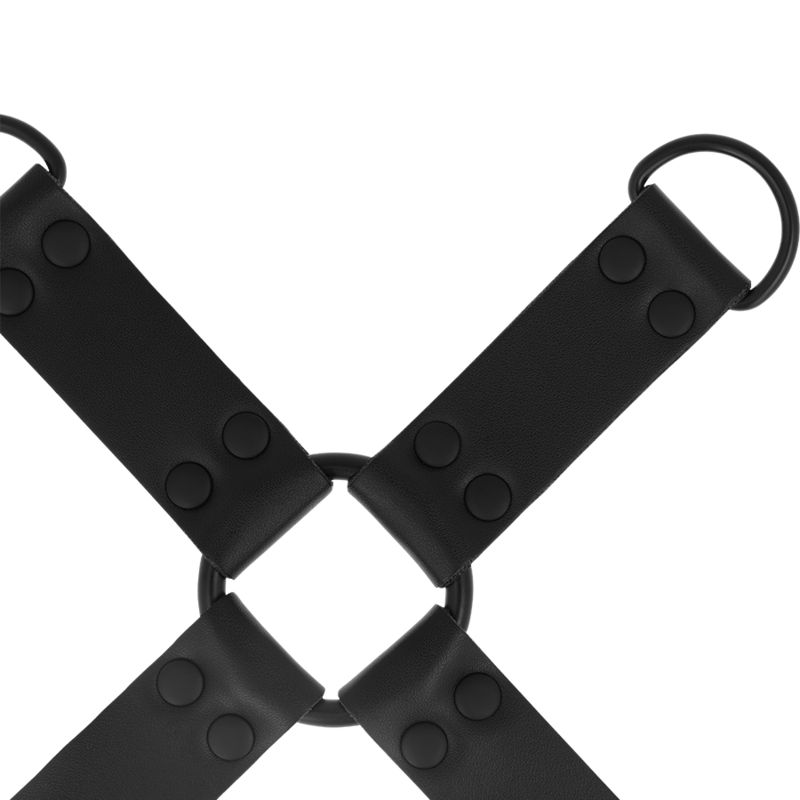 Detail of central metal ring connecting 4 straps in hogtie bondage set